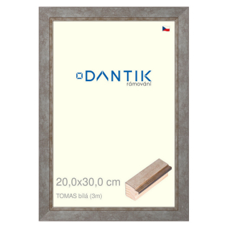 DANTIK rámeček 20x30 | TOMAS bílá (Sklo Čiré)
