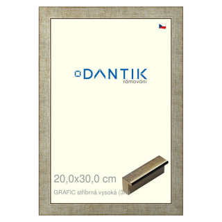 DANTIK rámeček 20x30 | GRAFIC stříbrná vysoká (Sklo Čiré)