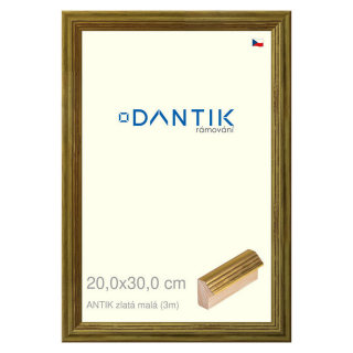 DANTIK rámeček 20x30 | ANTIK zlatá malá (Sklo Čiré)