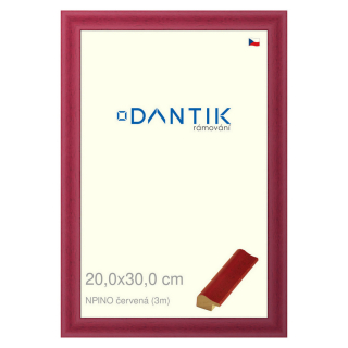 DANTIK rámeček 20x30 | NPINO červená (Sklo Čiré)