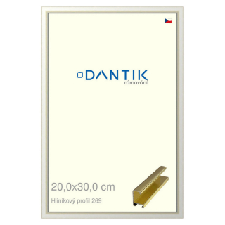 DANTIK rámeček 20x30 | ALU profil 7269 Zlatá lesklá (Sklo Čiré)