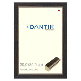 DANTIK rámeček 20x30 | TOMAS černá (Sklo Čiré)