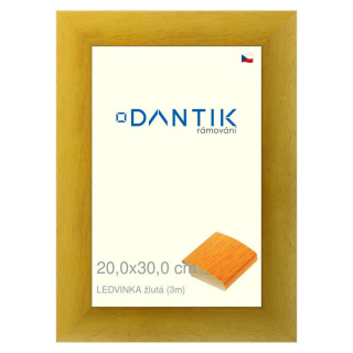 DANTIK rámeček 20x30 | LEDVINKA žlutá (Sklo Čiré)