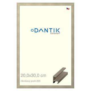 DANTIK rámeček 20x30 | ALU profil 6220 champagne (Sklo Čiré)