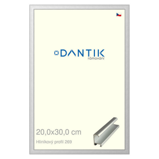 DANTIK rámeček 20x30 | ALU profil 7269 Stříbrná matná (Sklo Čiré)