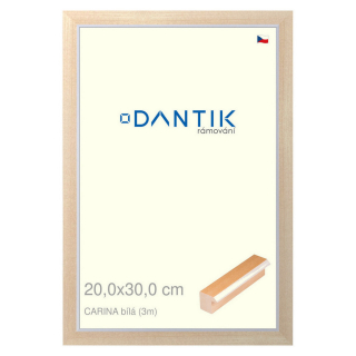 DANTIK rámeček 20x30 | CARINA Bílá (Sklo Čiré)