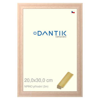 DANTIK rámeček 20x30 | NPINO přírodní (Sklo Čiré)