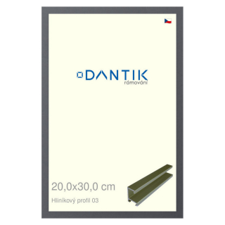 DANTIK rámeček 20x30 | ALU profil 7003 Platina matná (Sklo Čiré)