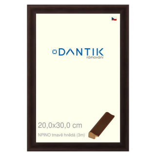 DANTIK rámeček 20x30 | NPINO tmavě hnědá (Sklo Čiré)