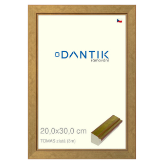 DANTIK rámeček 20x30 | TOMAS zlatá (Sklo Čiré)