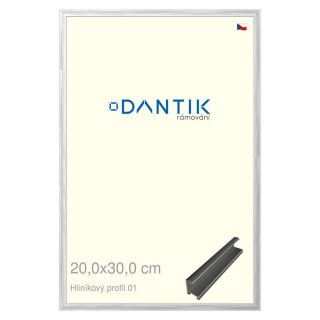 DANTIK rámeček 20x30 | ALU profil 7001 Stříbrná lesklá (Sklo Čiré)