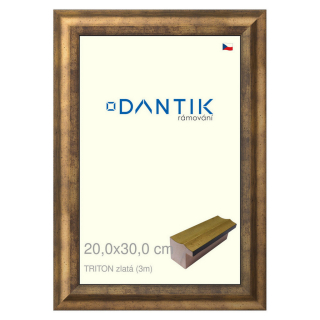 DANTIK rámeček 20x30 | TRITON zlatá (Sklo Čiré)