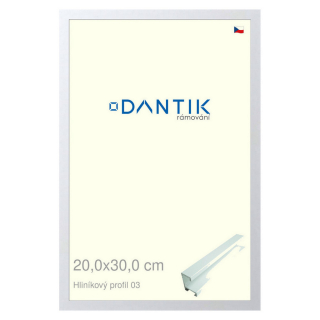 DANTIK rámeček 20x30 | ALU profil 7003 Bílá matná (Sklo Čiré)