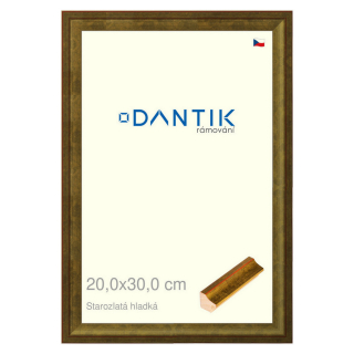 DANTIK rámeček 20x30 | Starozlatá hladká (Sklo Čiré)