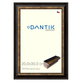 DANTIK rámeček 20x30 | TRITON černá (Sklo Čiré)