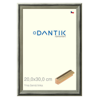 DANTIK rámeček 20x30 | Y-ka černá linka (Sklo Čiré)