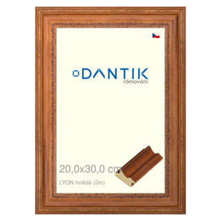 DANTIK rámeček 20x30 | LYON hnědá (Sklo Čiré)