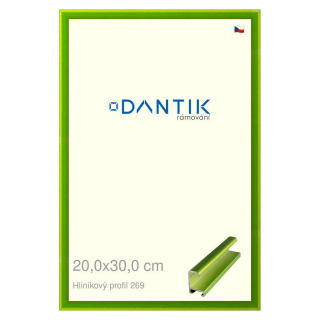DANTIK rámeček 20x30 | ALU profil 7269 Zelená Smaragd broušená (Sklo Čiré)