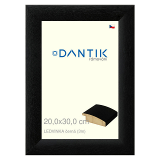 DANTIK rámeček 20x30 | LEDVINKA černá (Sklo Čiré)