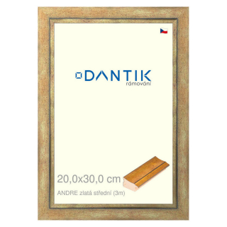 DANTIK rámeček 20x30 | ANDRE zlatá střední (Sklo Čiré)