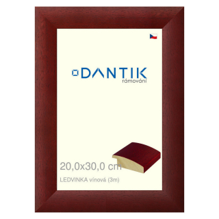 DANTIK rámeček 20x30 | LEDVINKA vínová (Sklo Čiré)