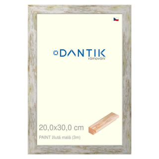 DANTIK rámeček 20x30 | PAINT žlutá malá (Sklo Čiré)