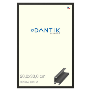 DANTIK rámeček 20x30 | ALU profil 6001 Černá matná (Sklo Čiré)