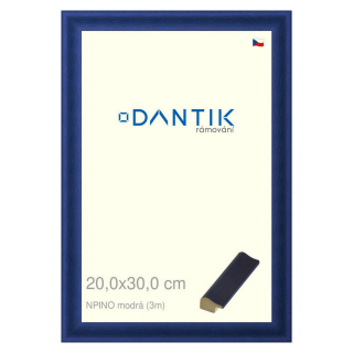 DANTIK rámeček 20x30 | NPINO modrá (Sklo Čiré)