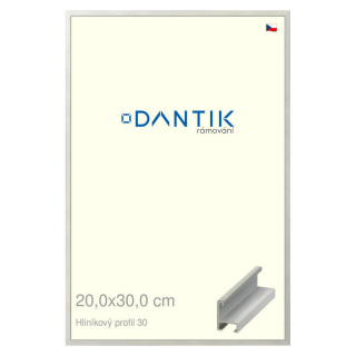 DANTIK rámeček 20x30 | ALU profil 6030 Dýha barevná šedá světlá (Sklo Čiré)