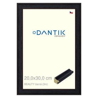 DANTIK rámeček 20x30 | BEAUTY černá (Sklo Čiré)