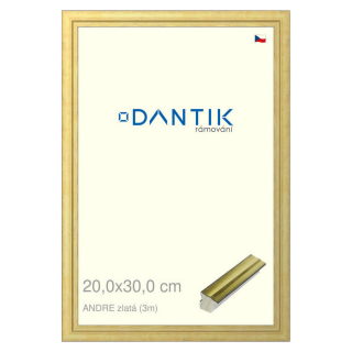 DANTIK rámeček 20x30 | ANDRE zlatá (Sklo Čiré)