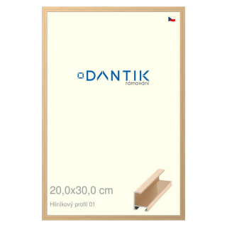 DANTIK rámeček 20x30 | ALU profil 6001 Zlatá lesklá (Sklo Čiré)
