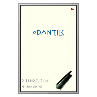 DANTIK rámeček 20x30 | ALU profil 7002 Šedá leská (Sklo Čiré)