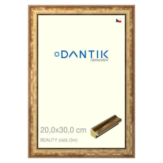 DANTIK rámeček 20x30 | BEAUTY zlatá (Sklo Čiré)