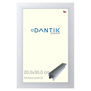 DANTIK rámeček 20x30 | ALU profil 7005 Stříbrná matná (Sklo Čiré)