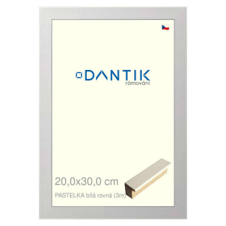 DANTIK rámeček 20x30 | PASTELKA bílá rovná (Sklo Čiré)