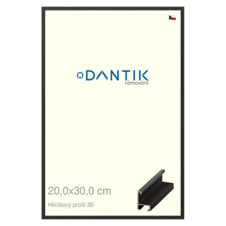 DANTIK rámeček 20x30 | ALU profil 6030 Dýha černá (Sklo Čiré)