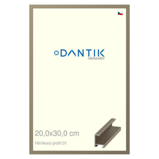 DANTIK rámeček 20x30 | ALU profil 6001 champagne (Sklo Čiré)