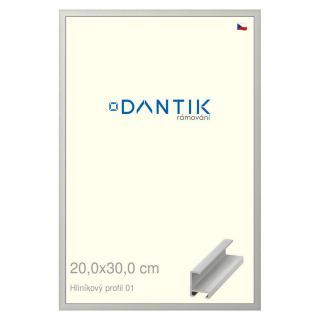 DANTIK rámeček 20x30 | ALU profil 6001 Stříbrná matná (Sklo Čiré)