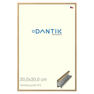 DANTIK rámeček 20x30 | ALU profil 7273 Dýha dub (Sklo Čiré)