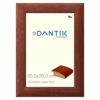 DANTIK rámeček 20x30 | LEDVINKA hnědá (Sklo Čiré)