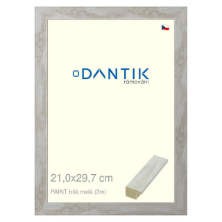 DANTIK rámeček 21x29,7 | PAINT bílá malá (Sklo Čiré)