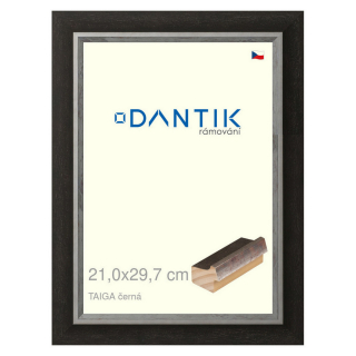 DANTIK rámeček 21x29,7 | TAIGA černá (Sklo Čiré)