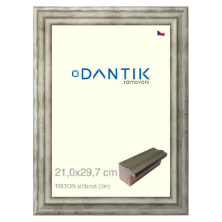 DANTIK rámeček 21x29,7 | TRITON stříbrná (Sklo Čiré)