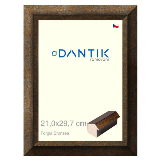DANTIK rámeček 21x29,7 | Forgia Bronzea (Sklo Čiré)