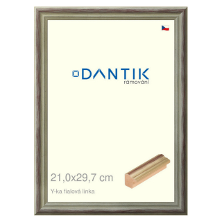 DANTIK rámeček 21x29,7 | Y-ka fialová linka (Sklo Čiré)