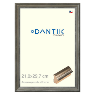 DANTIK rámeček 21x29,7 | ANIVERSA piccola stříbrná (Sklo Čiré)