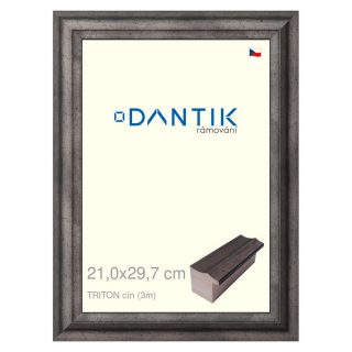 DANTIK rámeček 21x29,7 | TRITON cín (Sklo Čiré)