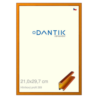DANTIK rámeček 21x29,7 | ALU profil 7269 Oranžová Citrin broušená (Sklo Čiré)