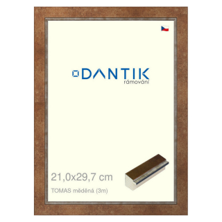 DANTIK rámeček 21x29,7 | TOMAS měděná (Sklo Čiré)